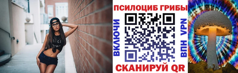 закладки  Домодедово  kraken ссылки  Псилоцибиновые грибы прущие грибы 