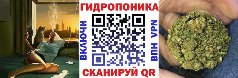 Бошки марихуана конопля  Домодедово 